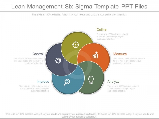 Lean Management Six Sigma Template Ppt Files