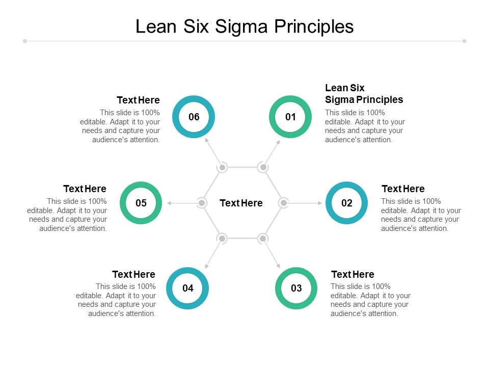 Lean Six Sigma Principles Ppt PowerPoint Presentation Professional ...
