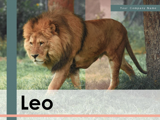 Leo Lion Face Wild Buffalo Ppt PowerPoint Presentation Complete Deck -  PowerPoint Templates