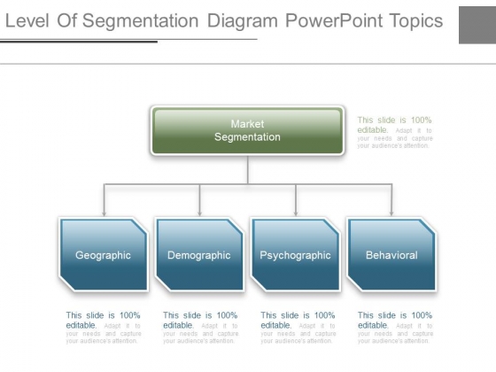 Level_Of_Segmentation_Diagram_Powerpoint_Topics_1