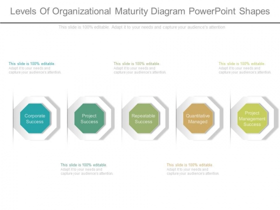 Levels Of Organizational Maturity Diagram Powerpoint Shapes