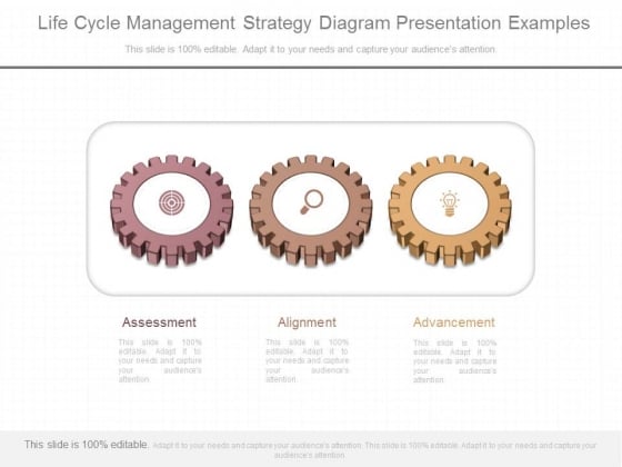 Life Cycle Management Strategy Diagram Presentation Examples Life Cycle Management Strategy Diagram Presentation Examples