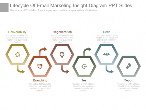 Lifecycle Of Email Marketing Insight Diagram Ppt Slides