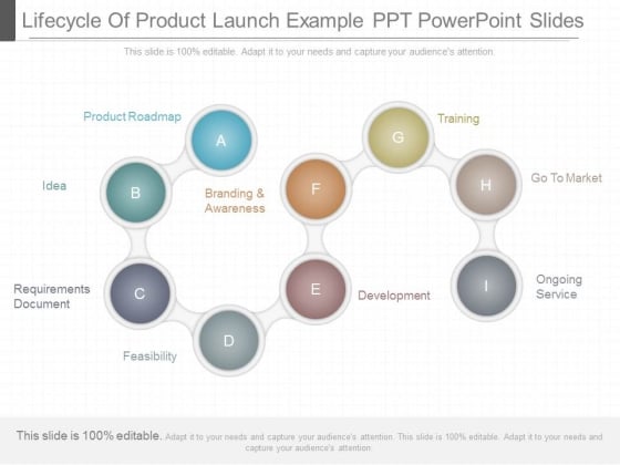 Lifecycle Of Product Launch Example Ppt Powerpoint Slides Lifecycle Of Product Launch Example Ppt Powerpoint Slides