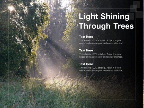 Light Shining Through Trees Ppt Powerpoint Presentation Gallery Clipart Images