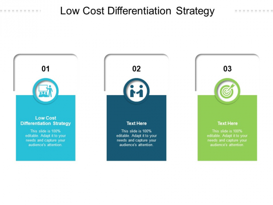 Low Cost Differentiation Strategy Ppt PowerPoint Presentation Icon Guidelines Cpb Pdf