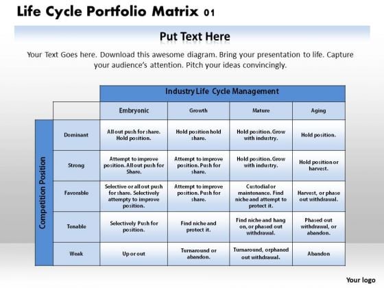 Life Cycle Portfolio Matrix 01 Business PowerPoint Presentation Life Cycle Portfolio Matrix 01 Business PowerPoint Presentation