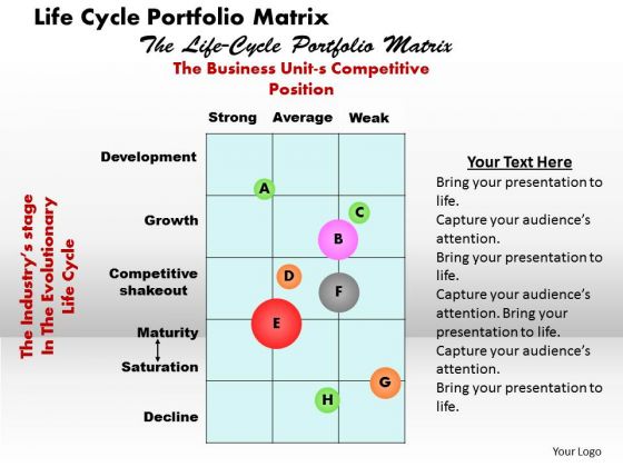 Life Cycle Portfolio Matrix Business PowerPoint Presentation Life Cycle Portfolio Matrix Business PowerPoint Presentation