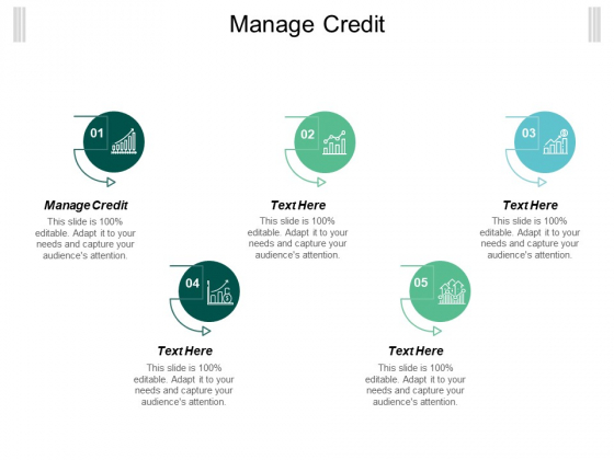 Manage Credit Ppt PowerPoint Presentation Ideas Elements Cpb Manage Credit Ppt PowerPoint Presentation Ideas Elements Cpb