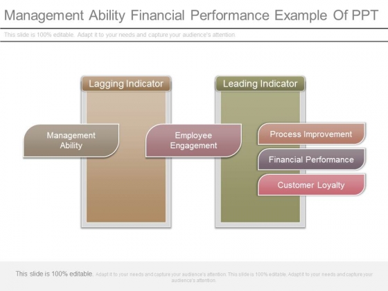 Management Ability Financial Performance Example Of Ppt PowerPoint 