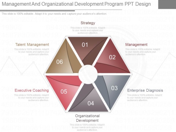 Management And Organizational Development Program Ppt Design Management And Organizational Development Program Ppt Design