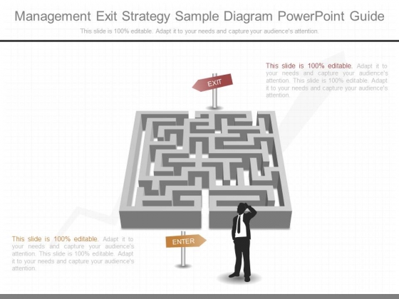 Management Exit Strategy Sample Diagram Powerpoint Guide Management Exit Strategy Sample Diagram Powerpoint Guide