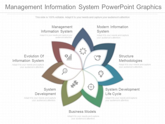 Management Information System Powerpoint Graphics