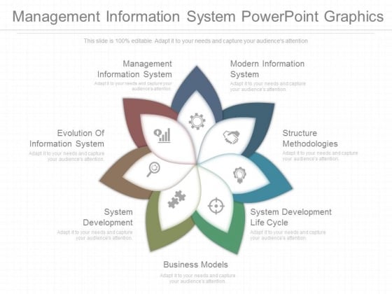 Management Information System Powerpoint Graphics Management Information System Powerpoint Graphics