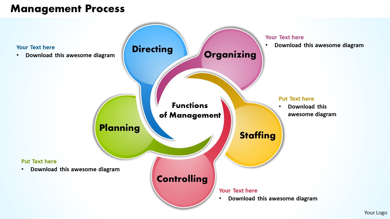 Management Process Business PowerPoint Presentation