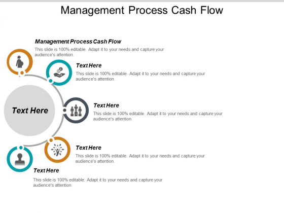 Management Process Cash Flow Ppt PowerPoint Presentation Outline Inspiration Cpb