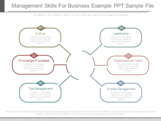 Management Skills For Business Example Ppt Sample File Management Skills For Business Example Ppt Sample File
