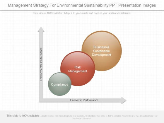 Management Strategy For Environmental Sustainability Ppt Presentation Images