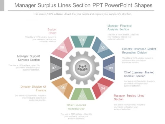 Manager Surplus Lines Section Ppt Powerpoint Shapes