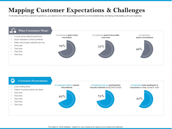 Mapping Customer Expectations And Challenges Summary PDF Mapping Customer Expectations And Challenges Summary PDF