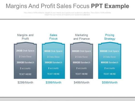 Margins And Profit Sales Focus Ppt Example Margins And Profit Sales Focus Ppt Example