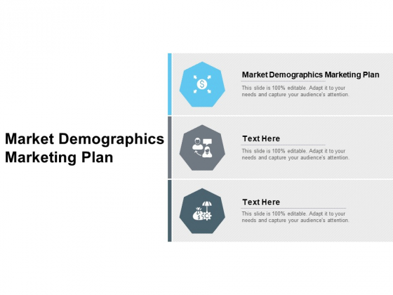 Market Demographics Marketing Plan Ppt PowerPoint Presentation Professional Ideas Cpb