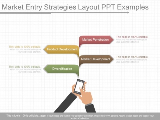 Market Entry Strategies Layout Ppt Examples