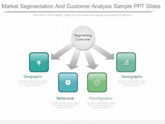 Market_Segmentation_And_Customer_Analysis_Sample_Ppt_Slides_1