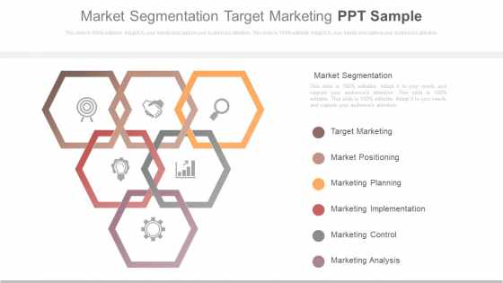 Market Segmentation Target Marketing Ppt Sample