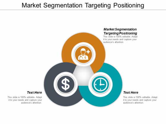Market Segmentation Targeting Positioning Ppt PowerPoint Presentation Layouts Microsoft Cpb