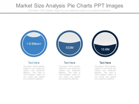 Market Size Analysis Pie Charts Ppt Images