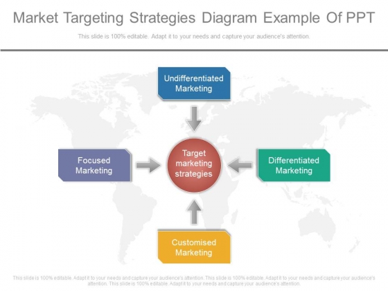 Market Targeting Strategies Diagram Example Of Ppt