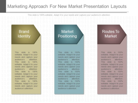 Marketing Approach For New Market Presentation Layouts