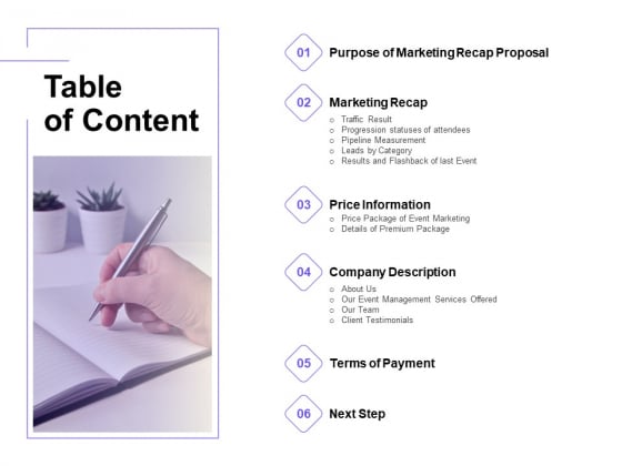 Marketing Campaign Table Of Content Elements PDF Marketing Campaign Table Of Content Elements PDF
