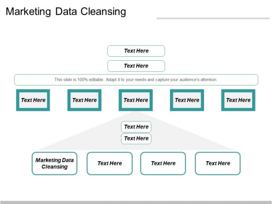 Marketing_Data_Cleansing_Ppt_PowerPoint_Presentation_Show_Visual_Aids_Cpb_Slide_1