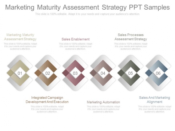 Marketing Maturity Assessment Strategy Ppt Samples