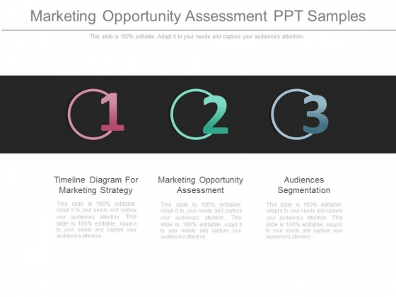 Marketing Opportunity Assessment Ppt Samples Marketing Opportunity Assessment Ppt Samples