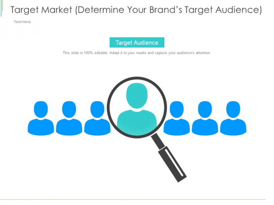 Marketing Plan Implementation Target Market Determine Your Brands Target Audience Sample PDF
