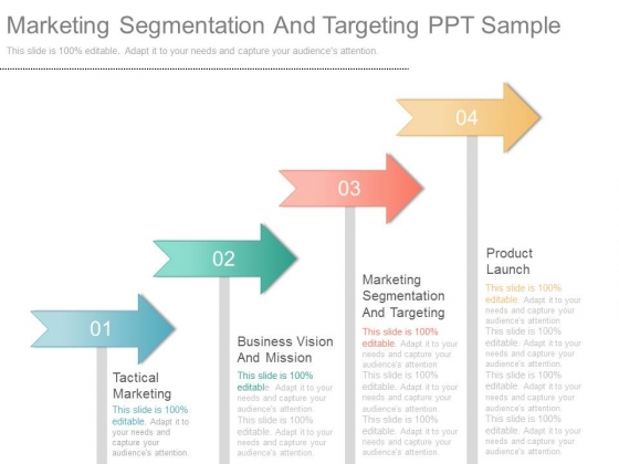 Marketing Segmentation And Targeting Ppt Sample Marketing Segmentation And Targeting Ppt Sample