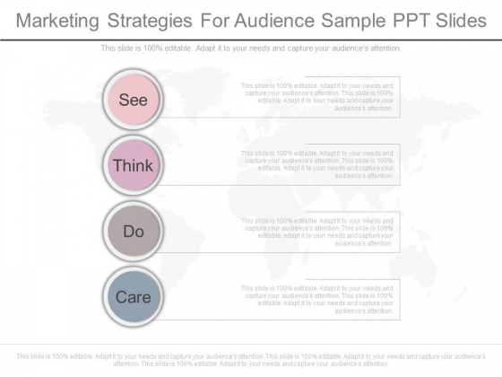 Marketing Strategies For Audience Sample Ppt Slides Marketing Strategies For Audience Sample Ppt Slides