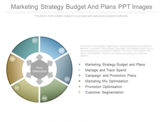 Marketing Strategy Budget And Plans Ppt Images