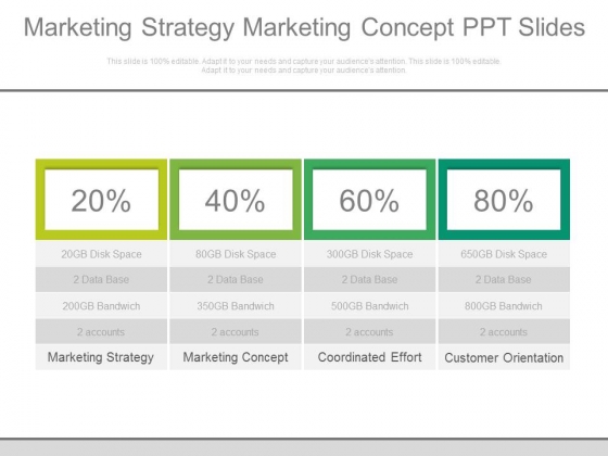 Marketing Strategy Marketing Concept Ppt Slides