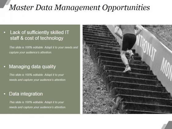 Master Data Management Opportunities Ppt PowerPoint Presentation Model Master Data Management Opportunities Ppt PowerPoint Presentation Model