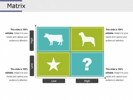 Matrix Ppt PowerPoint Presentation Icon Graphics Example