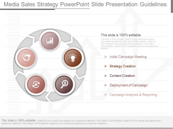 Media Sales Strategy Powerpoint Slide Presentation Guidelines Media Sales Strategy Powerpoint Slide Presentation Guidelines