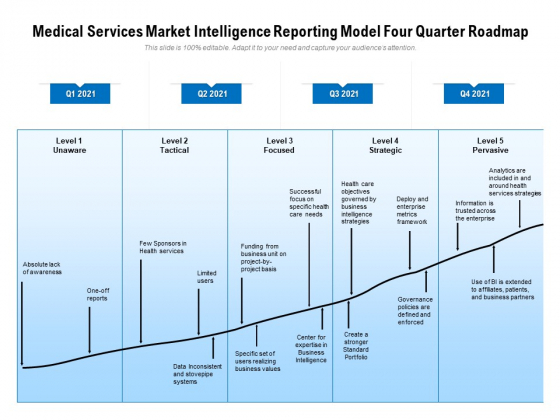 Medical Services Market Intelligence Reporting Model Four Quarter Roadmap Guidelines