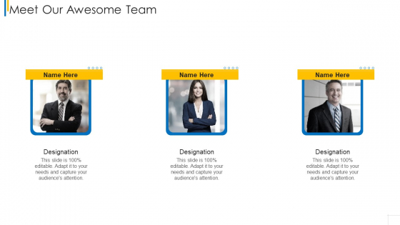 Meet Our Awesome Team Structure PDF
