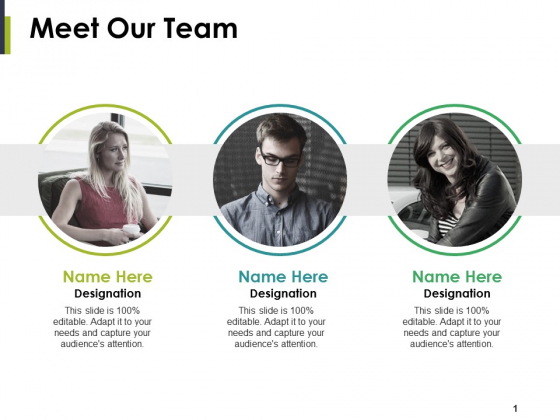 Meet Our Team Ppt PowerPoint Presentation File Portrait