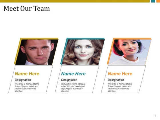 Meet Our Team Ppt PowerPoint Presentation Portfolio Graphics Template
