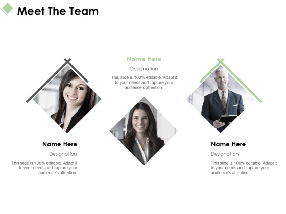 Meet The Team Ppt PowerPoint Presentation Layouts Graphics